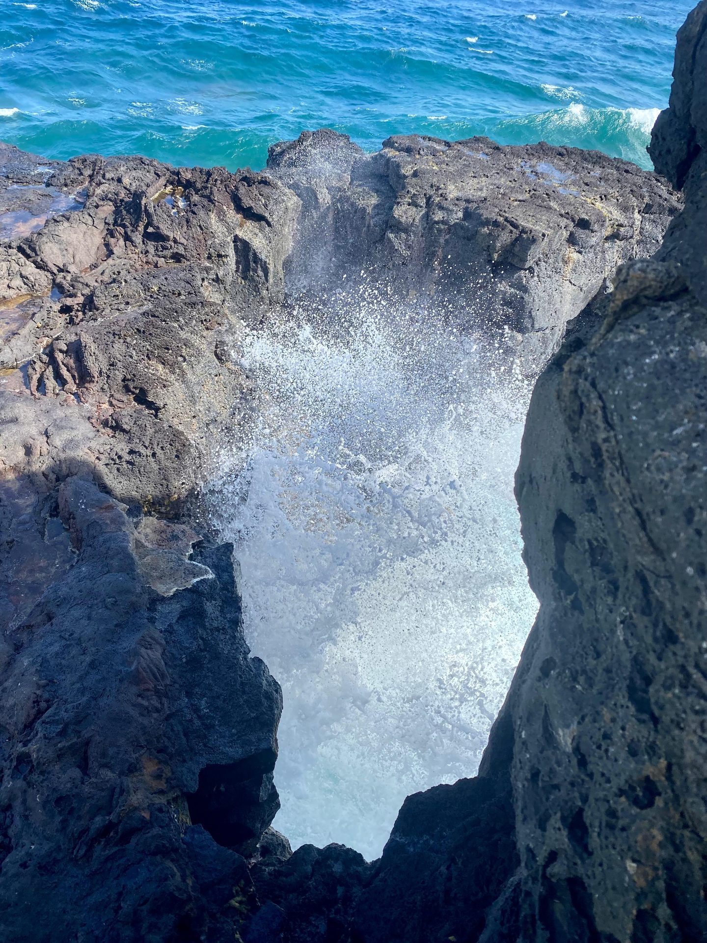 Source d'eau claire en montagne